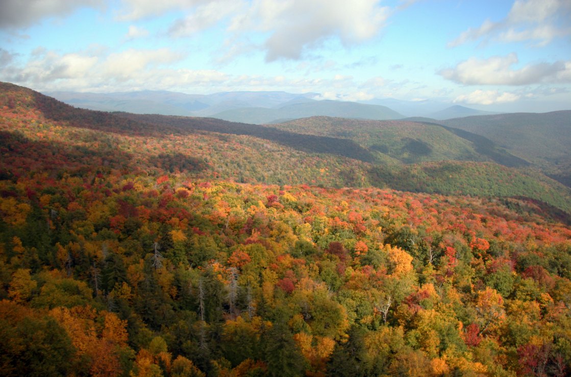 Disfruta la naturaleza de Nueva York