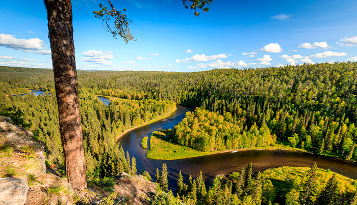 Suomen kansallispuistot hurmaavat – tässä viisi suosituinta | Hertz  Autovuokraamo