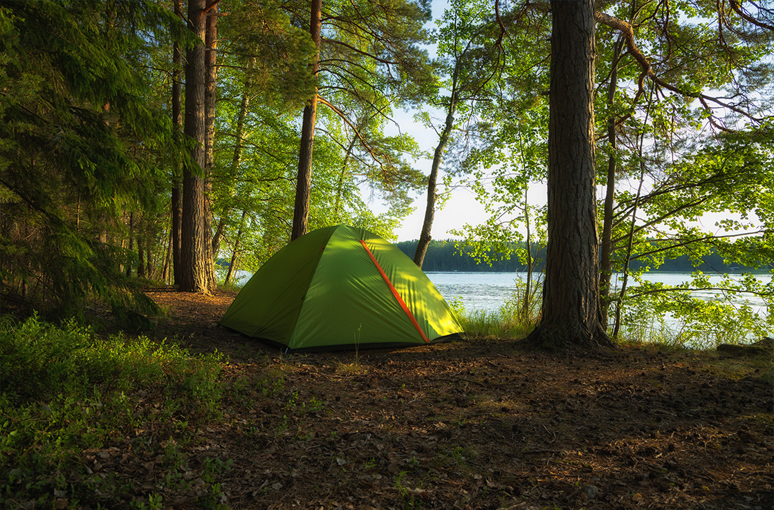 Suomen kansallispuistot hurmaavat – tässä viisi suosituinta | Hertz  Autovuokraamo